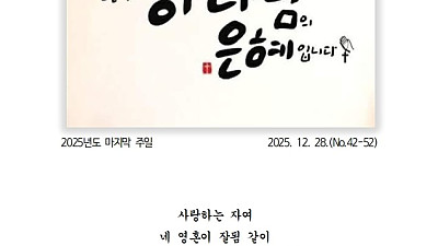12월 28일