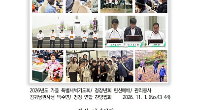 11월 1일