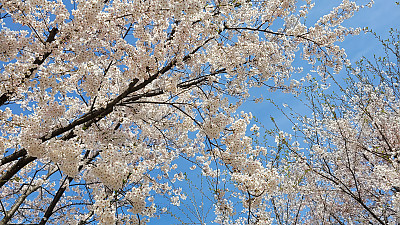 에덴교회 아동부에 봄이 왔어요~